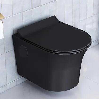 Black western toilet — image 1