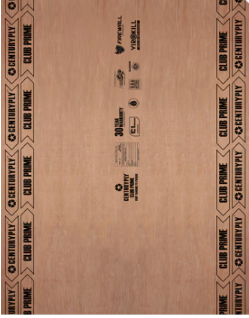 Century Ply Hardwood Plywood Club Prime — image 1