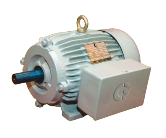 Crompton CG Rhino Series Single Phase Motor — image 1