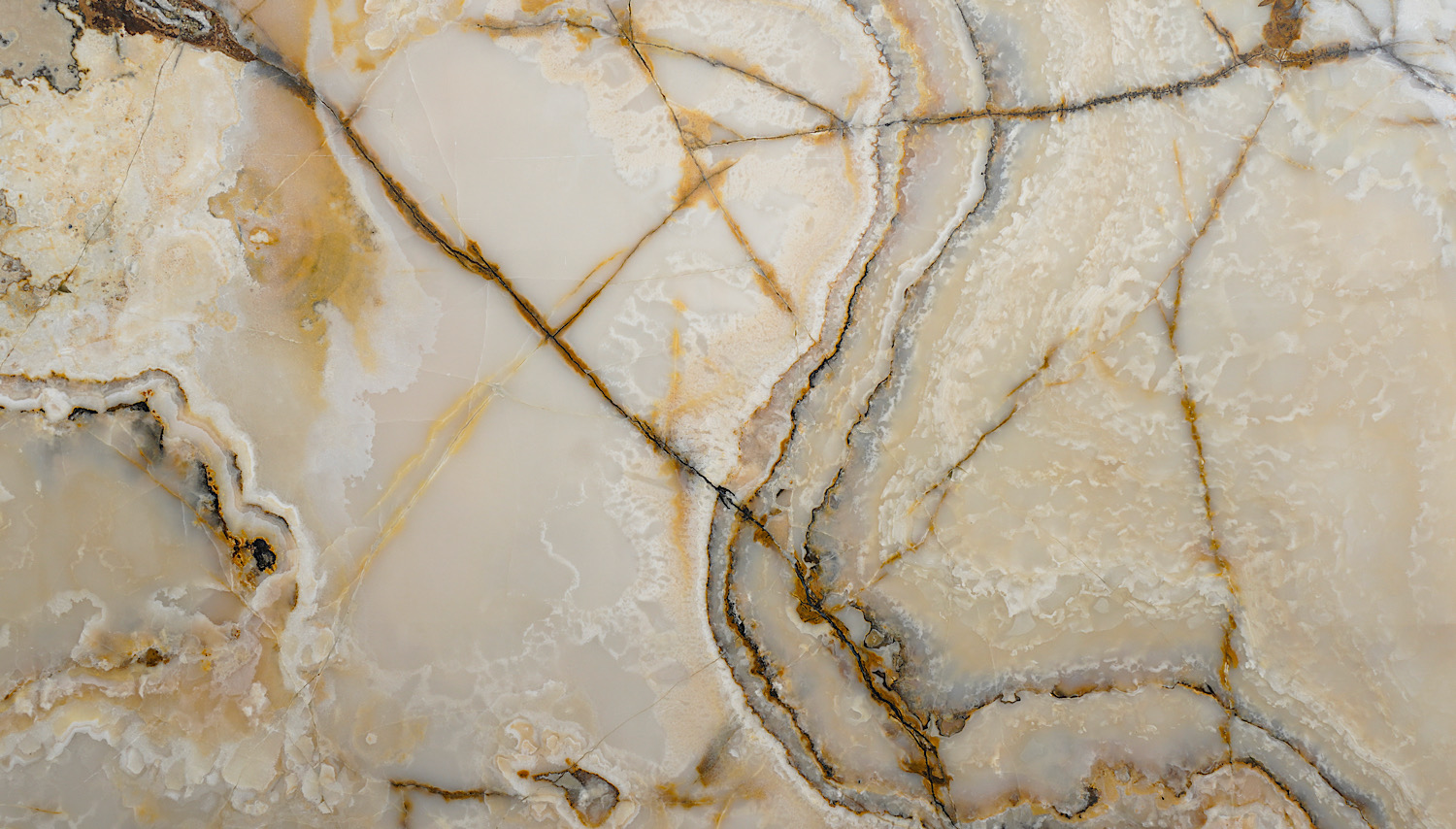 Golden Claude Onyx — image 1