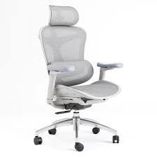 High-End Ergonomic Office Chair — image 1