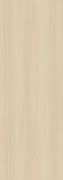  LIGHT EUCALYPTUS — image 1