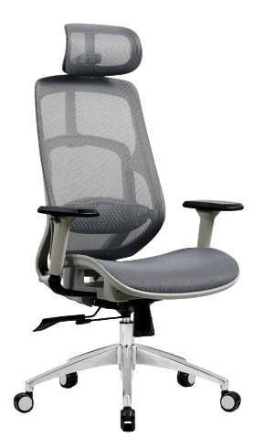 Polo Ergonomic High Back Mesh Office Chair — image 1