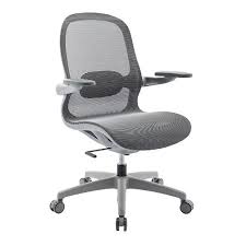 Premium Ergonomic Office Chair — image 1