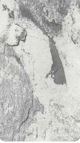 Royal Noir Decorative Wall Panel — image 1