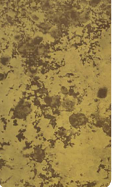 Tarnished Brass Decorative Wall Panel — image 1
