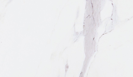 WHITE MARBLE LAMINATE — image 1
