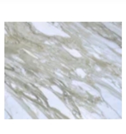 White Marble — image 1